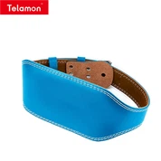 Durable Weightlifting Belt