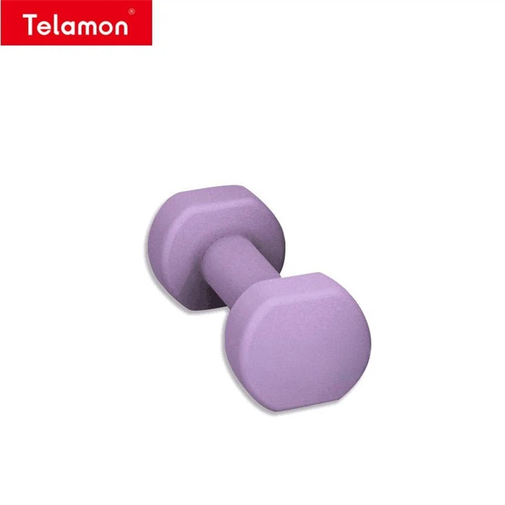Dumbbell 3kg price