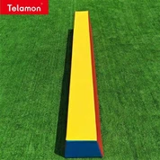 Double Balance Beam