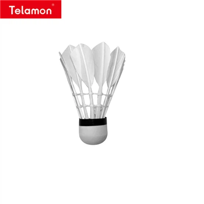 Fun Of Badminton