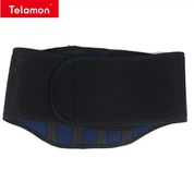 Gym Waist Support Belt