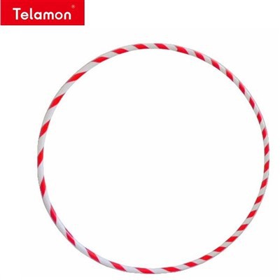 Gymnastic Ring Frame