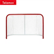 Hockey Goal Net