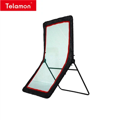 Lacrosse Wall Ball Net