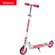 Two Wheel Scooter