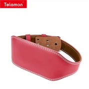 Weightlifting Buckle Belt