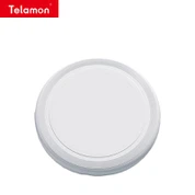Ultimate Frisbee 175g
