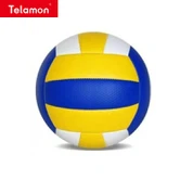 Volleyball Ball